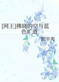 [网王] 拂晓的空与蓝色旷道